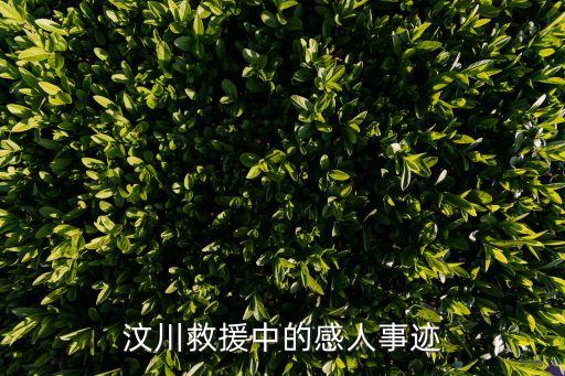 荊利杰，汶川救援中的感人事跡