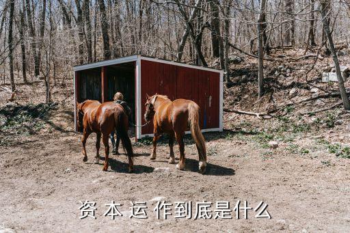 什么叫資本運(yùn)作，資本運(yùn) 作 是什么