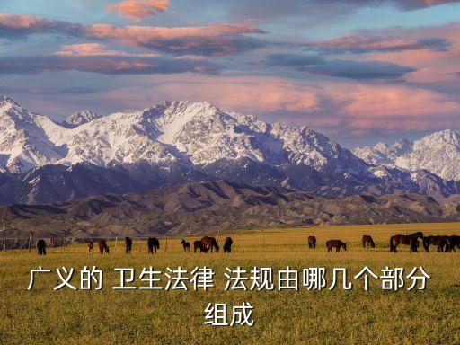 廣義的 衛(wèi)生法律 法規(guī)由哪幾個部分組成