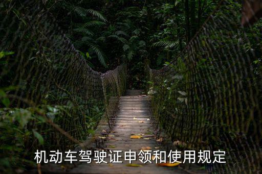 機(jī)動(dòng)車駕駛證申領(lǐng)和使用規(guī)定，安部123號(hào)令機(jī)動(dòng)車駕駛證申領(lǐng)和使用規(guī)定