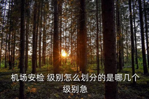  機(jī)場(chǎng)安檢 級(jí)別怎么劃分的是哪幾個(gè) 級(jí)別急