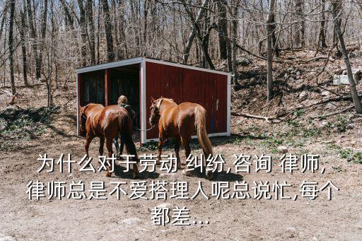 為什么對(duì)于勞動(dòng) 糾紛,咨詢 律師, 律師總是不愛搭理人呢總說忙,每個(gè)都差...