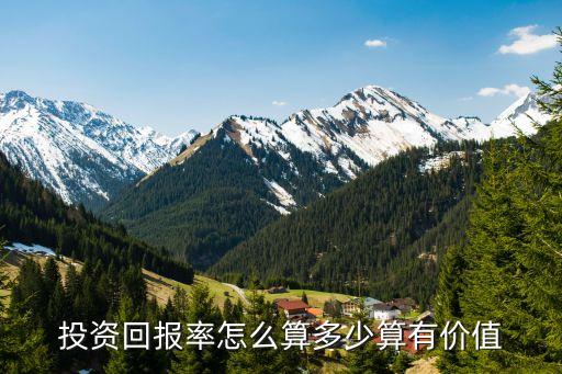 投資回報(bào)率怎么算多少算有價(jià)值
