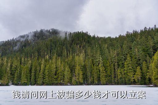 消費(fèi)欺詐立案標(biāo)準(zhǔn)，錢請(qǐng)問網(wǎng)上被騙多少錢才可以立案