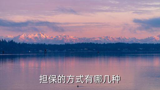 擔保的方式有哪幾種