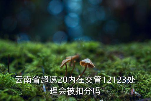 交通管理，昆明的交通管理如何