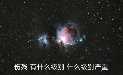 傷殘級(jí)別，傷殘等級(jí)的劃分