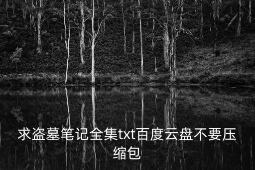 vdiz，盜墓筆記*百度云不要種子不要壓縮包感謝