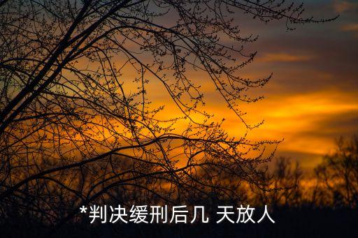 *判決緩刑后幾 天放人