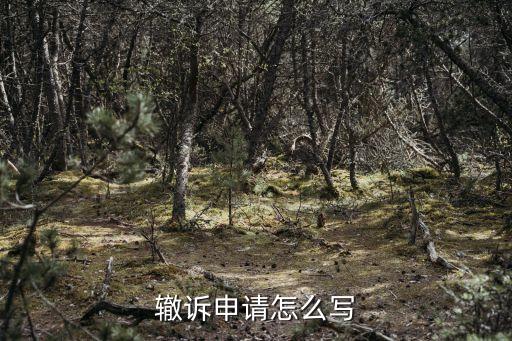 撤訴申請(qǐng)，怎么么撤訴