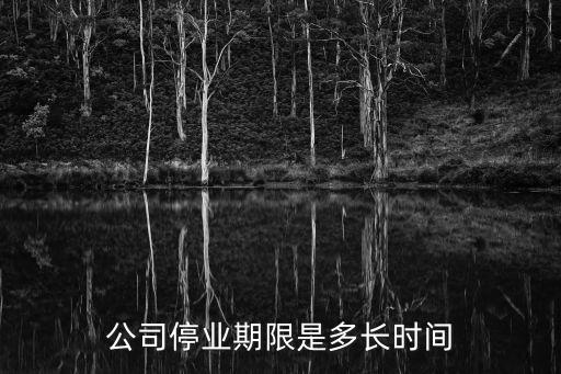 公司停業(yè)期限是多長(zhǎng)時(shí)間