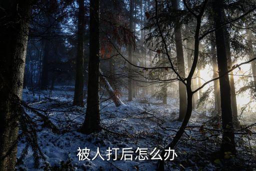 被人打了怎么辦，被人打了怎么辦