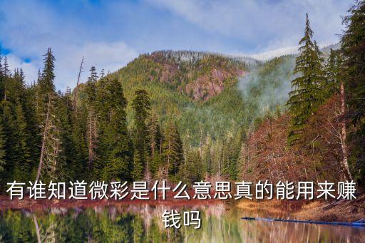 微彩，微彩怎么樣