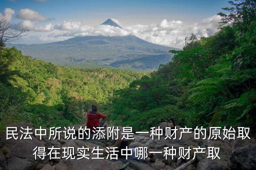 添附，民法中所說的添附是一種財產(chǎn)的原始取得在現(xiàn)實生活中哪一種財產(chǎn)取