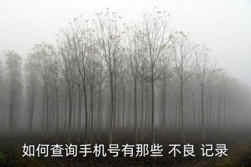 如何查詢手機(jī)號有那些 不良 記錄