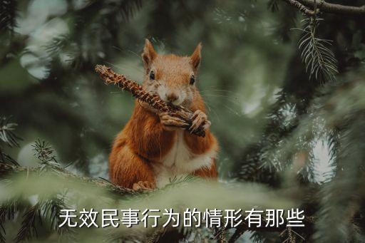 無效民事法律行為，概念解釋私法自治原則無效民事行為