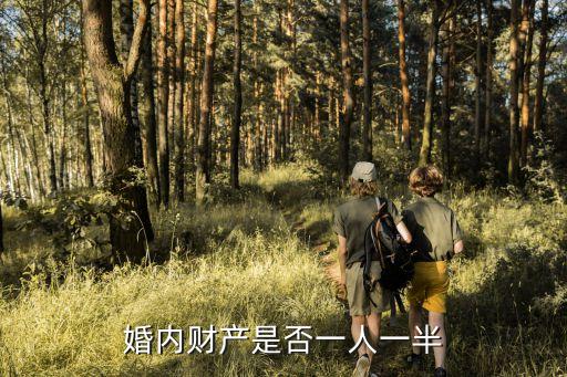婚內(nèi)財(cái)產(chǎn)分割，婚內(nèi)財(cái)產(chǎn)是否一人一半