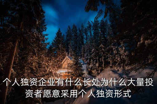 個人獨資企業(yè)的優(yōu)缺點，個人獨資企業(yè) 劣勢是什么
