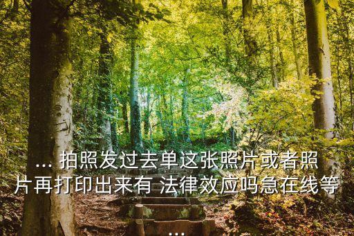 ... 拍照發(fā)過去單這張照片或者照片再打印出來有 法律效應嗎急在線等...