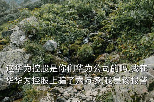 虧損騙