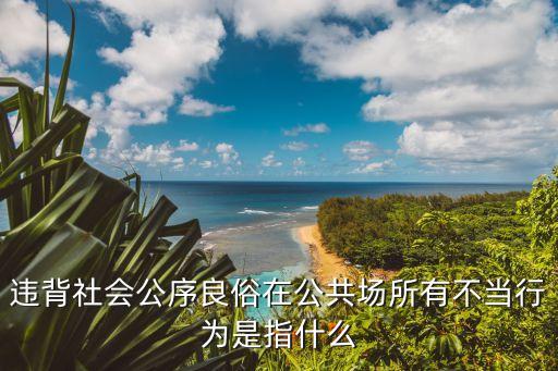 違反公序良俗，違背社會公序良俗在公共場所有不當行為是指什么