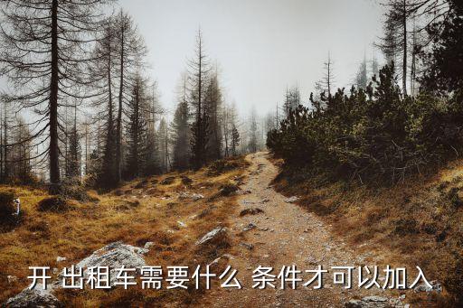 開出租車需要什么條件,成都市開出租車需要什么條件