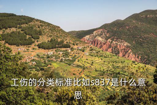 企業(yè)職工傷亡事故分類標(biāo)準(zhǔn)，公司人身事故劃分為幾個(gè)等級