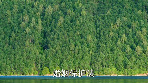 婚姻保護法