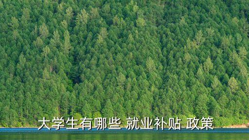  大學生有哪些 就業(yè)補貼 政策
