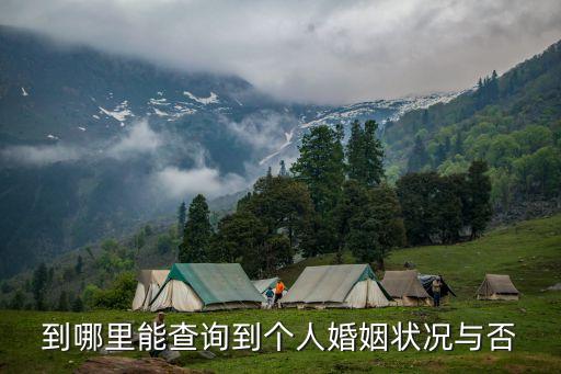 個(gè)人婚姻信息查詢系統(tǒng)，婚姻查詢系統(tǒng)民政局婚姻登記查詢