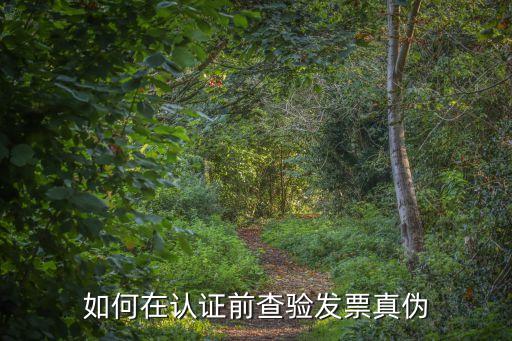 發(fā)票查驗真?zhèn)?，怎樣快速驗出發(fā)票真?zhèn)? /></a><a href=