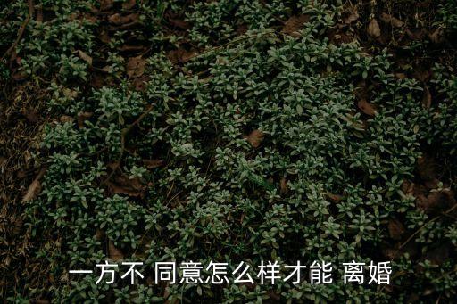 另一方不同意如何離婚