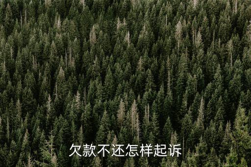 欠錢不還起訴，欠款不還怎樣起訴