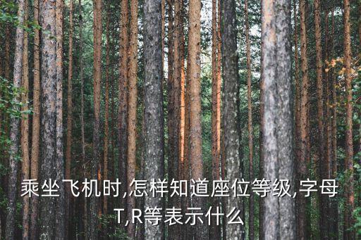 機(jī)場級別,中國機(jī)場級別