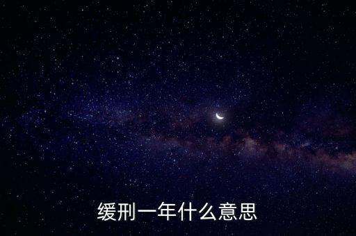 緩刑一年什么意思