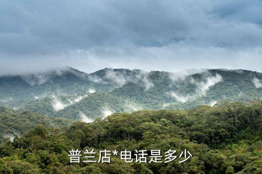 *電話查詢，在網(wǎng)上能不能查到人民*的電話號碼還有能不能查到*有沒有授