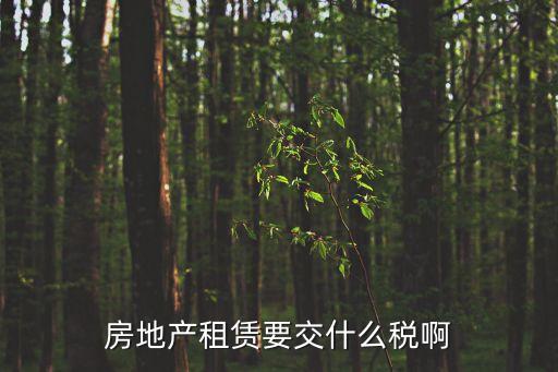 房地產(chǎn)租賃要交什么稅啊