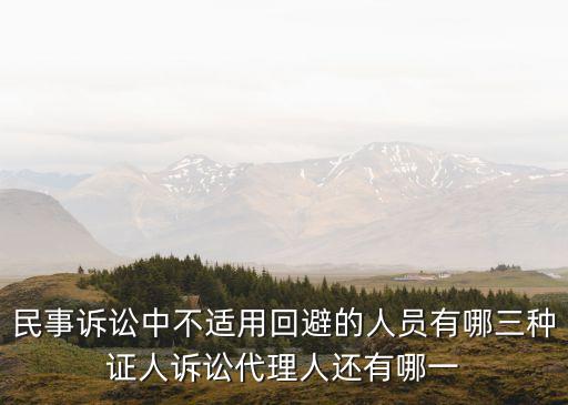 專家輔助人，如何申請專家輔助人出庭