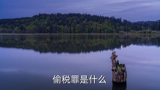 偷稅罪是什么