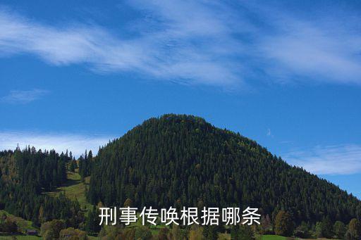 刑事傳喚，刑事傳召 意思