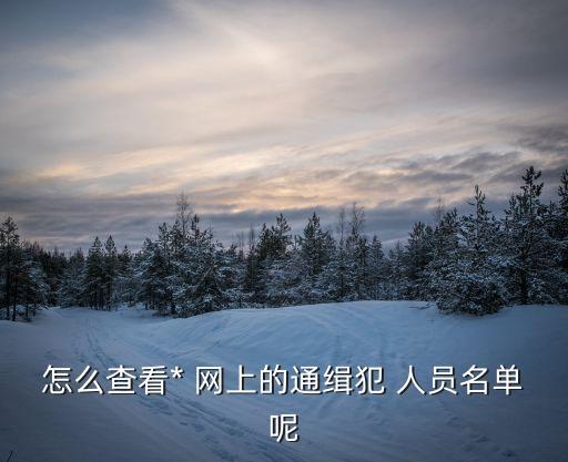 網(wǎng)上在逃人員
