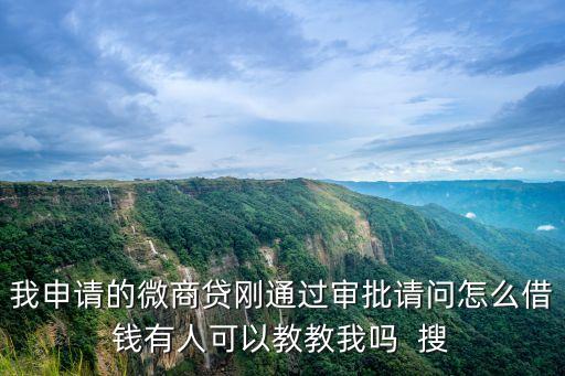 我申請(qǐng)的微商貸剛通過(guò)審批請(qǐng)問(wèn)怎么借錢有人可以教教我嗎  搜