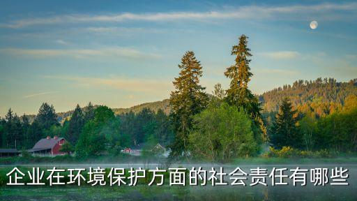 環(huán)境責(zé)任，企業(yè)在環(huán)境保護(hù)方面的社會(huì)責(zé)任有哪些...