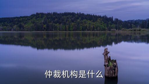 仲裁機(jī)構(gòu)，仲裁機(jī)構(gòu)是什么機(jī)構(gòu)行政機(jī)構(gòu)還是什么