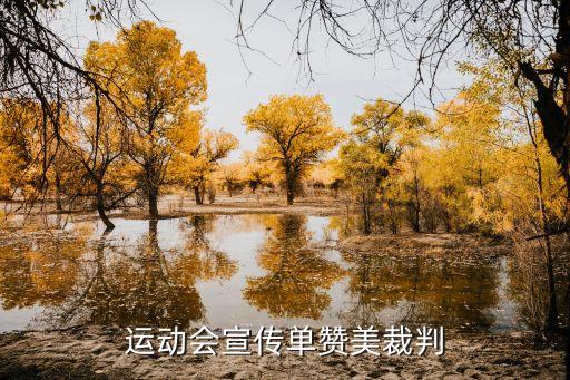 裁判怎么寫，申請乒乓球等級裁判員的個人簡歷要怎么寫