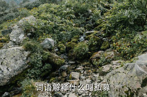 私募是什么意思，私募是什么如何賺錢(qián)的通俗一點(diǎn)說(shuō)