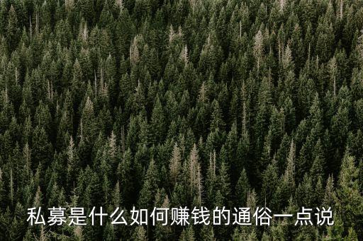 私募是什么如何賺錢(qián)的通俗一點(diǎn)說(shuō)