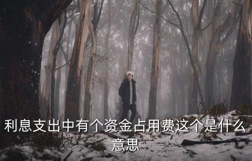 利息支出中有個資金占用費(fèi)這個是什么意思