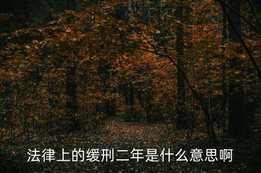 緩刑期，法律上的緩刑二年是什么意思啊