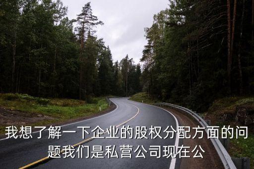 股權(quán)設(shè)置，我想了解一下企業(yè)的股權(quán)分配方面的問題我們是私營(yíng)公司現(xiàn)在公